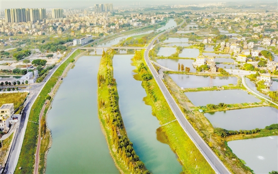 沙坪河經(jīng)過整治，變得水清岸綠景美。