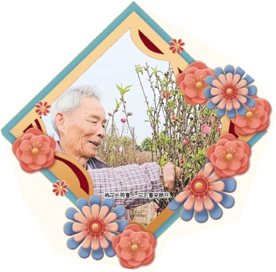 桃花長(zhǎng)勢(shì)喜人，花農(nóng)喜笑顏開(kāi)。