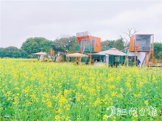 大沙鎮(zhèn)蕉園營(yíng)地。