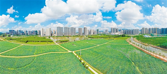 新會(huì)樞紐新城。郭永樂