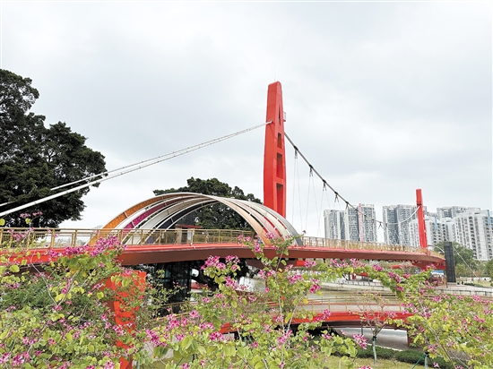 江門公園遍地開花，景色宜人。