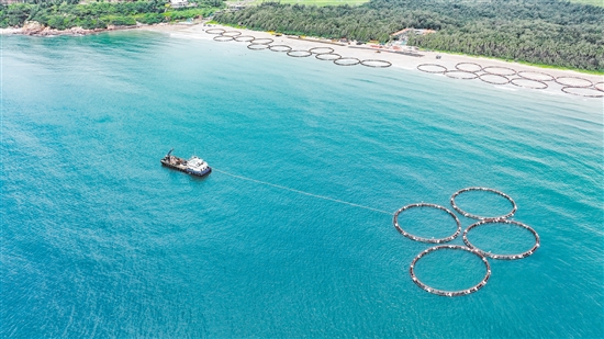 2023年臺山新成立海洋發(fā)展集團有限公司，引導(dǎo)海洋產(chǎn)業(yè)發(fā)展，累計下水重力式網(wǎng)箱152個，高標準建設(shè)“邑海糧倉”。