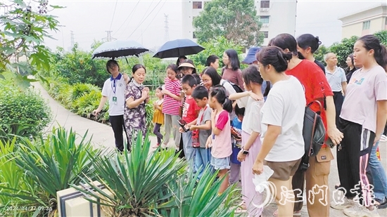 市民在嶺南藥用植物園學習辨認常用的藥用植物。