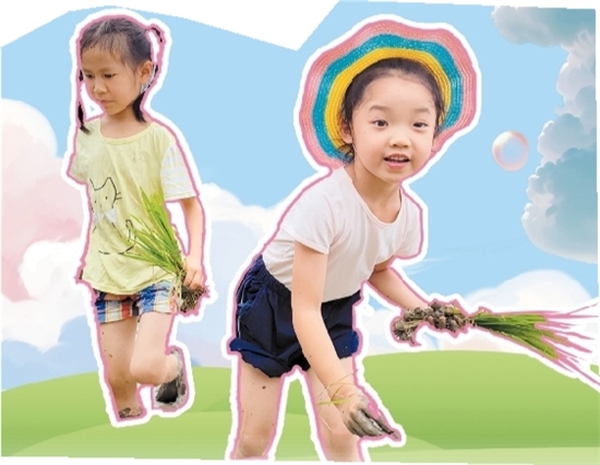 蓬江區(qū)第一幼兒園的小朋友們體驗插秧。