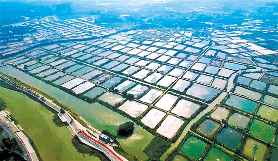 古勞鎮(zhèn)大埠村將以強(qiáng)經(jīng)濟(jì)、促和美、惠民生為主攻方向，以打造“廣東省休閑農(nóng)業(yè)與鄉(xiāng)村旅游示范點(diǎn)”為目標(biāo)，以推進(jìn)中鐵文旅·田園綜合體、美麗漁場(chǎng)、光伏發(fā)電、“云龍競(jìng)渡”綜合觀光樓等項(xiàng)目為抓手，促進(jìn)農(nóng)文康旅融合高質(zhì)量發(fā)展。古勞鎮(zhèn)供圖