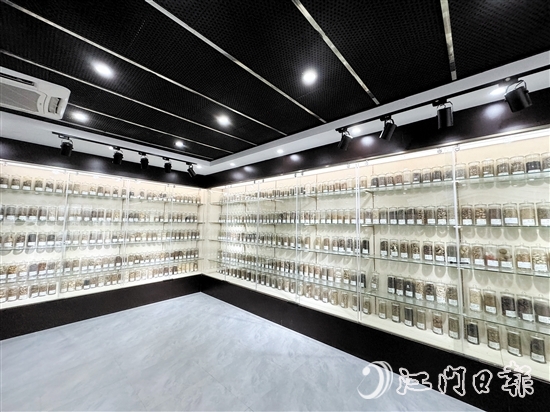 中藥篇展廳中央展區(qū)擺放著近100種藥材。