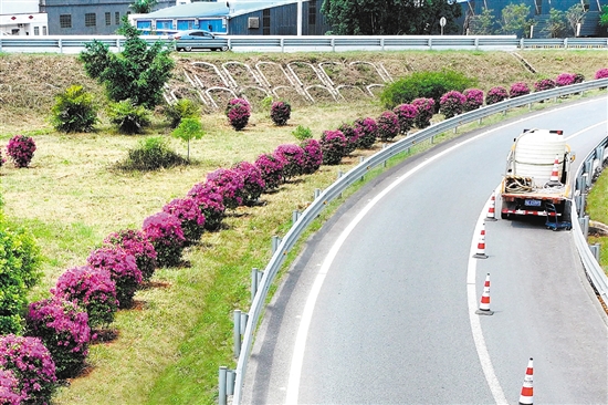 開陽高速公路形成一條路中有景、景中有路的綠美交通廊道。
