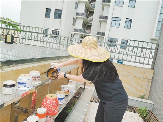 市民清理閑置積水容器，防止蚊蟲孳生。