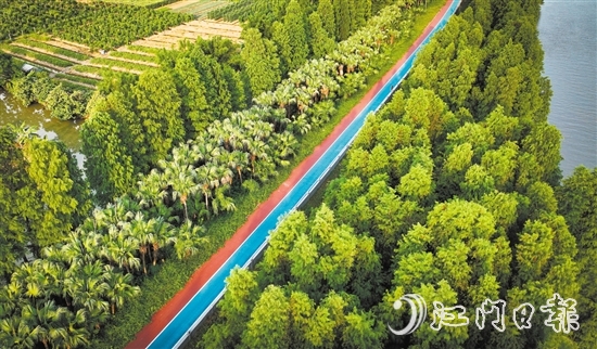 江海區(qū)鄉(xiāng)村綠廊碧帶串聯(lián)多個公園和自然景觀區(qū)，成為市民休閑娛樂的好去處。