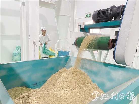 源林生態(tài)有機(jī)米的年產(chǎn)量達(dá)700噸。