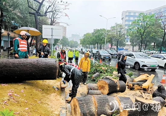 經(jīng)過(guò)加急作業(yè)，工作人員完成部分路段的清障工作，讓車輛順利通行。