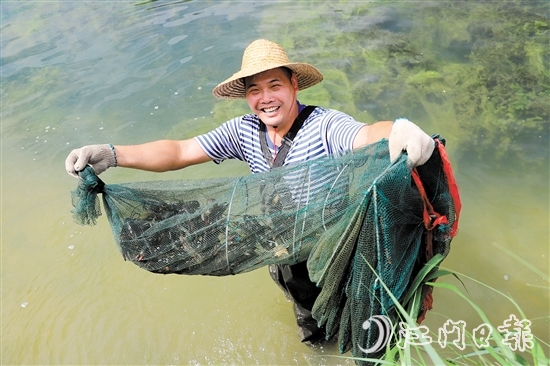 “信用+金融服務(wù)”有效解決養(yǎng)殖戶資金難題。