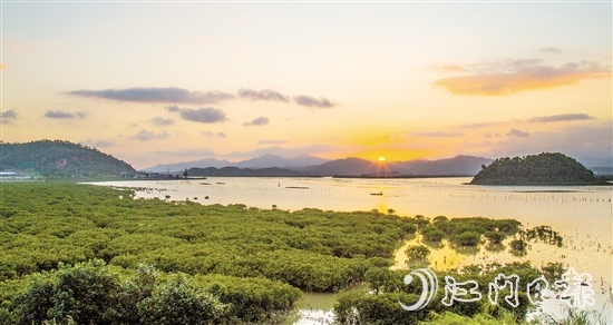 珠三角連片面積最大的紅樹(shù)林——恩平市鎮(zhèn)海灣紅樹(shù)林，面積約373.33公頃（5600畝）。
