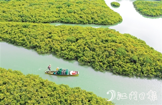 優(yōu)質(zhì)豐富的生態(tài)資源是恩平的核心優(yōu)勢(shì)，也是恩平市推動(dòng)經(jīng)濟(jì)社會(huì)高質(zhì)量發(fā)展的重要依托。