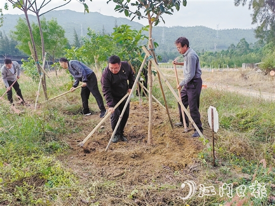 志愿者手持鋤頭，對(duì)每一棵樹木周圍的雜草進(jìn)行清除，并對(duì)土壤進(jìn)行松土處理，確保每一棵樹木都能在良好的土壤環(huán)境中生長(zhǎng)。