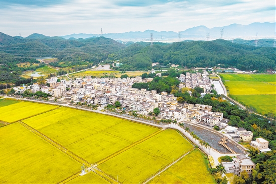 赤溪鎮(zhèn)護嶺村是客家人聚居村,先后入選廣東省首批“百千萬工程”典型村、廣東省鄉(xiāng)村振興示范村創(chuàng)建名單。