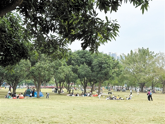 天氣晴好，不少市民到公園草坪露營野餐。
