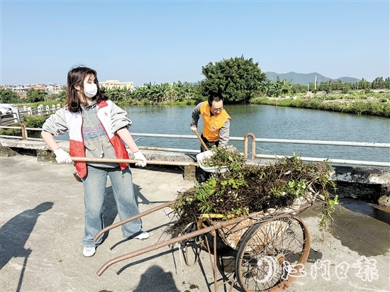 當(dāng)天，黨員干部、志愿者與群眾共同投身于一場清潔行動。