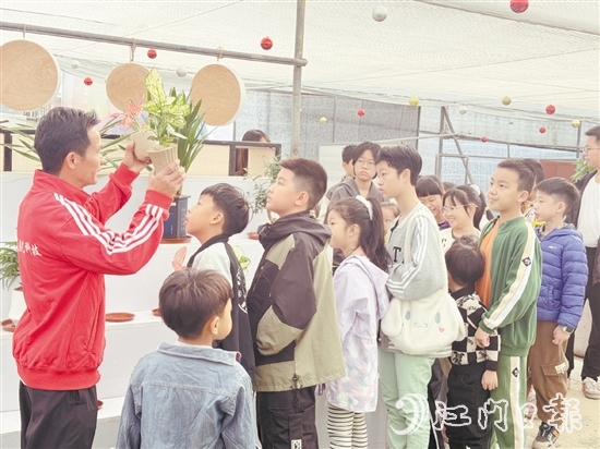 經(jīng)驗(yàn)豐富的園藝導(dǎo)師向青少年們介紹綠植的種類、生長習(xí)性、養(yǎng)護(hù)技巧等知識。