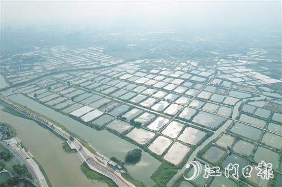 科技特派員助力古勞鎮(zhèn)大力發(fā)展特色漁業(yè)養(yǎng)殖，加快建設(shè)“省級(jí)示范性美麗漁場(chǎng)”。