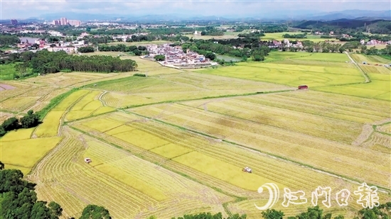 南塘村通過“兩預(yù)兩委托”模式，成功整合約73.33公頃（1100多畝）田地，依托農(nóng)村“三資”管理平臺流轉(zhuǎn)給專業(yè)農(nóng)業(yè)公司開展大規(guī)模種植。