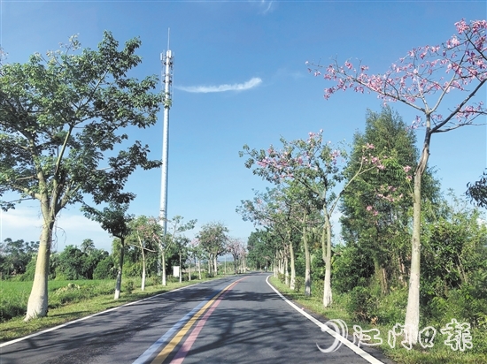 開平入選第四批“四好農(nóng)村路”全國示范縣。