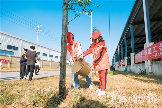 2024年，臺山市植樹10.2萬株，完成計劃任務的144%。