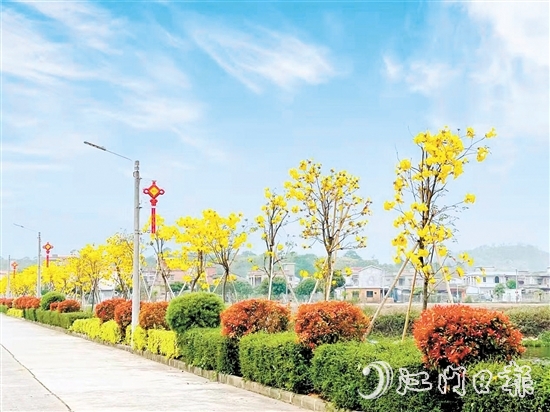 南合村的“顏值”不斷提升。