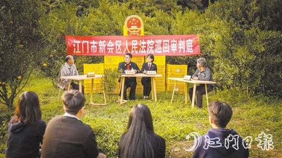 會(huì)城法庭干警就一起隨意傾倒柑肉致相鄰種植戶柑樹受損案進(jìn)行巡回審判。