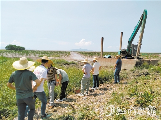 人大代表到紅樹林保護區(qū)進行實地調(diào)研。