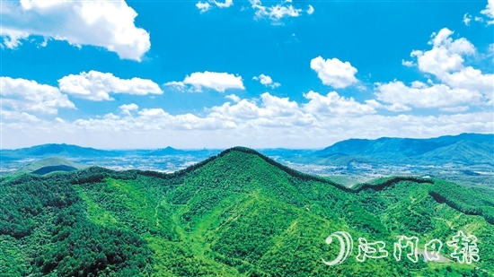 鶴山市現(xiàn)有林地面積54333.33公頃（81.5萬畝），2024年5月，鶴山市被選為廣東唯一、全國21個(gè)開展林權(quán)登記試點(diǎn)工作的縣（市、區(qū)）之一。