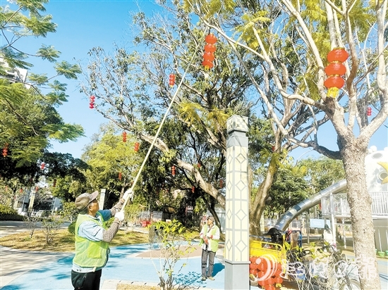 工作人員在開平市各大公園懸掛燈籠，喜迎新春。