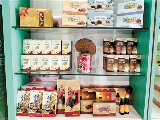 琳瑯滿目的靈芝類產(chǎn)品。