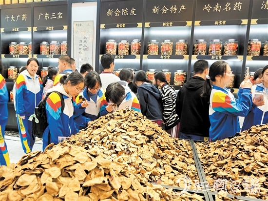 在陳皮展廳，同學(xué)們學(xué)習(xí)辨識(shí)不同年份的陳皮。