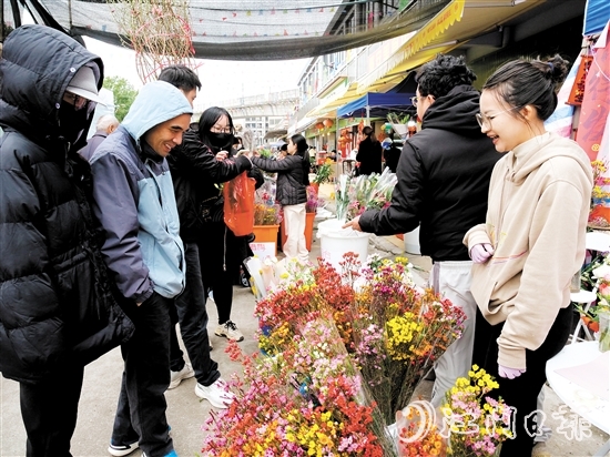 不少市民來(lái)到禮樂(lè)街道迎春花市選購(gòu)年花。陳嬋