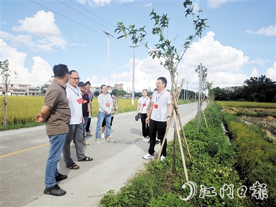牛江鎮(zhèn)人大組織代表到高聯(lián)村開展視察調(diào)研。