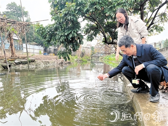 新會區(qū)紀(jì)檢監(jiān)察干部到雙水鎮(zhèn)北水村回訪，查看水質(zhì)變化。