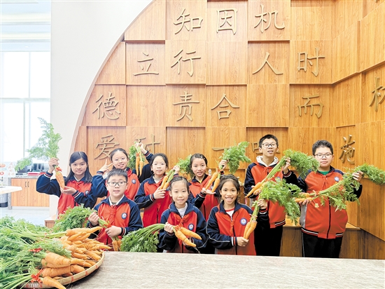 江海區(qū)景賢小學(xué)寒假志趣作業(yè)獲獎(jiǎng)學(xué)生收到了該校學(xué)生親手栽種的胡蘿卜。