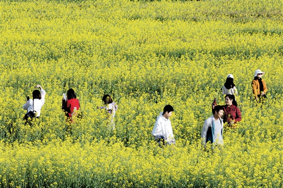 都市農(nóng)業(yè)生態(tài)園一年四季都游人如織。
