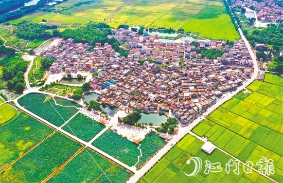 恩平市深入開展綠美生態(tài)建設(shè)，人居環(huán)境持續(xù)提升。