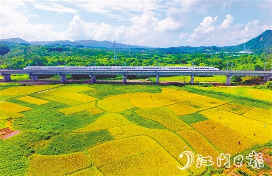 恩平市不斷完善交通網(wǎng)絡(luò)，推進深度融灣。圖為江湛鐵路經(jīng)過恩平。