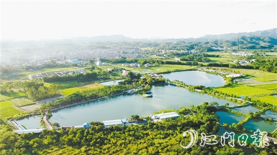 橫東村特色農(nóng)業(yè)發(fā)展勢(shì)頭較好。