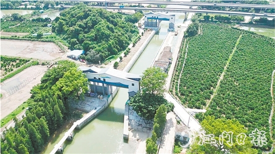 江新聯(lián)圍睦洲樞紐除險加固工程已基本完工，實現(xiàn)華麗變身，更好地發(fā)揮自身水利功能。