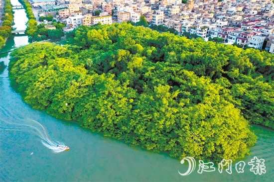 新會區(qū)加快水經(jīng)濟試點建設(shè)，推進小鳥天堂濕地周邊水系及基礎(chǔ)設(shè)施提升工程，打造綠色水經(jīng)濟“新會樣板”。