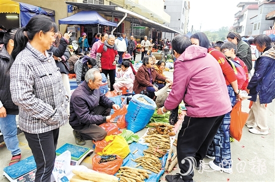 農(nóng)戶將自家種的土特產(chǎn)拿到圩市售賣。