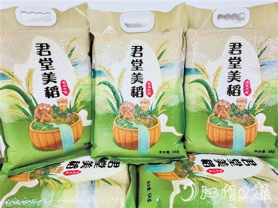 黎塘村以恩平市君江農(nóng)墾投資開發(fā)有限公司為平臺(tái)打造“君堂美稻”品牌。