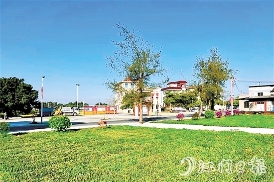 赤溪鎮(zhèn)長安村掀起新一輪植綠熱潮，擦亮“百千萬工程”典型村的綠美發(fā)展底色。
