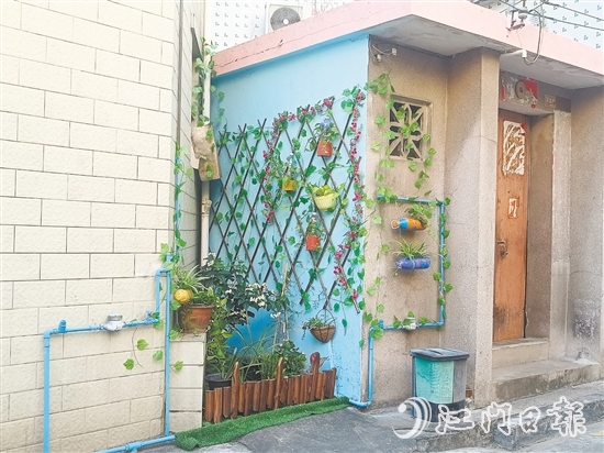 家門口的立體小花園為禾岡村注入生機與活力。