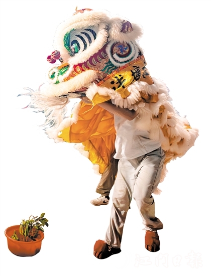 花炮會上，醒獅采青表演十分精彩。