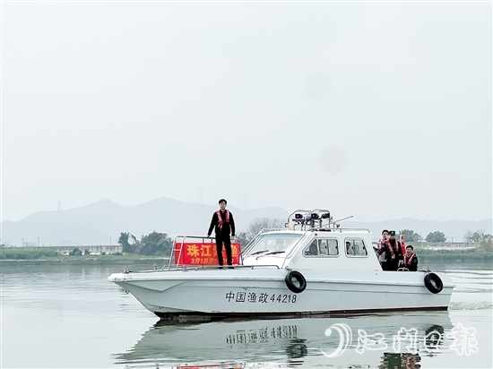 執(zhí)法人員在西江支流新會段進行巡查。